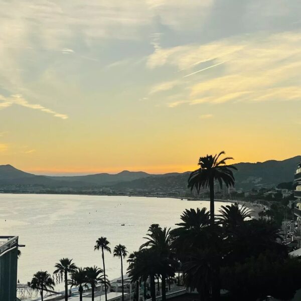 Apartment Cannes: charming 1-bedroom apartment, renovated, in the heart of town