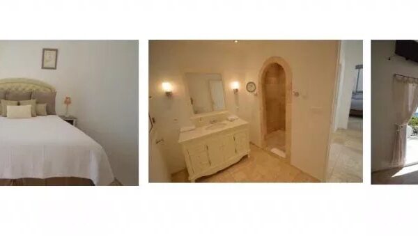 Villa Cannes : magnificent renovated villa, sea view, swimming pool, garden, reception room