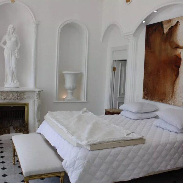 Villa Cannes : magnificent renovated villa, sea view, swimming pool, garden, reception room