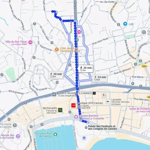 Cannes: gorgeous modern quiet villa swimming pool, premium amenities