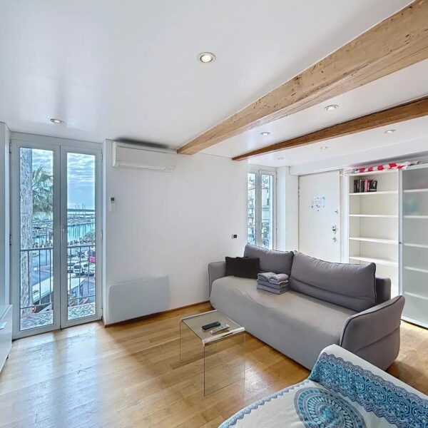 Cannes: beautiful apartment with terrace and view of the Vieuxport