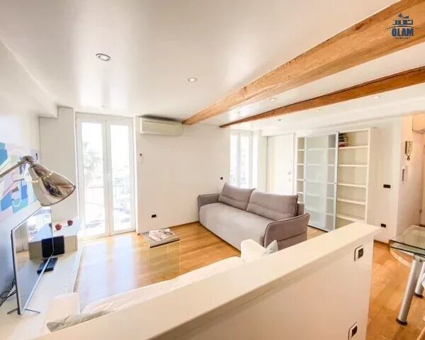 Cannes: beautiful apartment with terrace and view of the Vieuxport