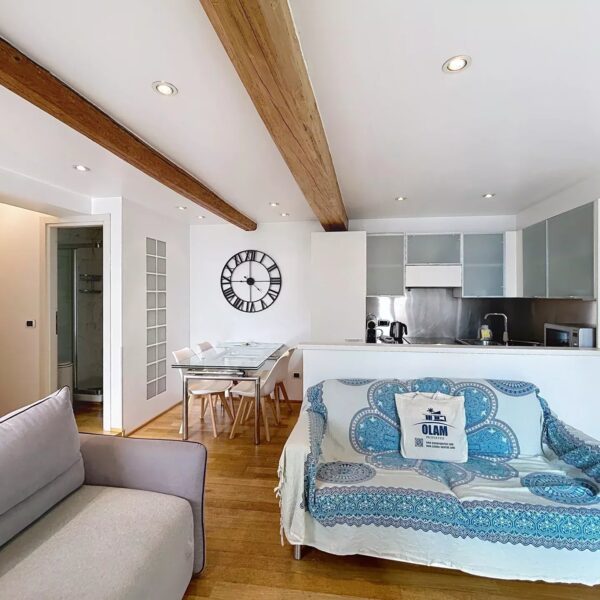 Cannes: beautiful apartment with terrace and view of the Vieuxport