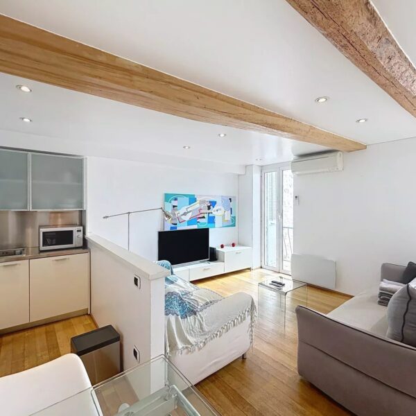 Cannes: beautiful apartment with terrace and view of the Vieuxport