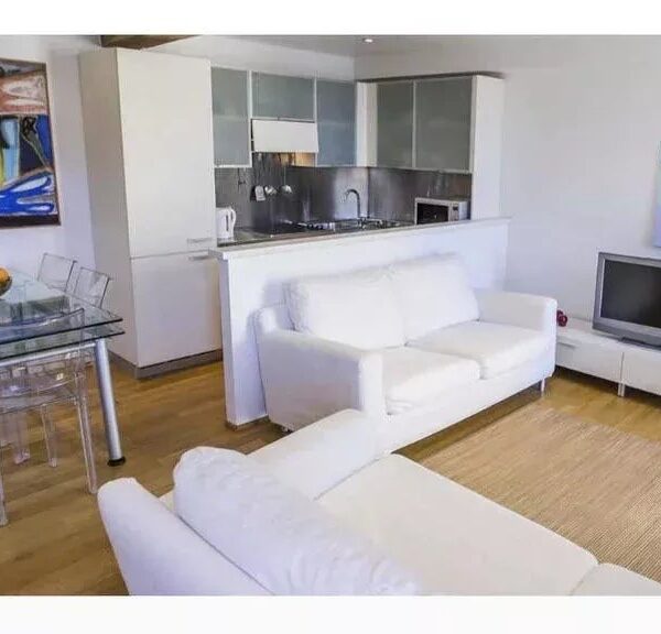 Cannes: beautiful apartment with terrace and view of the Vieuxport