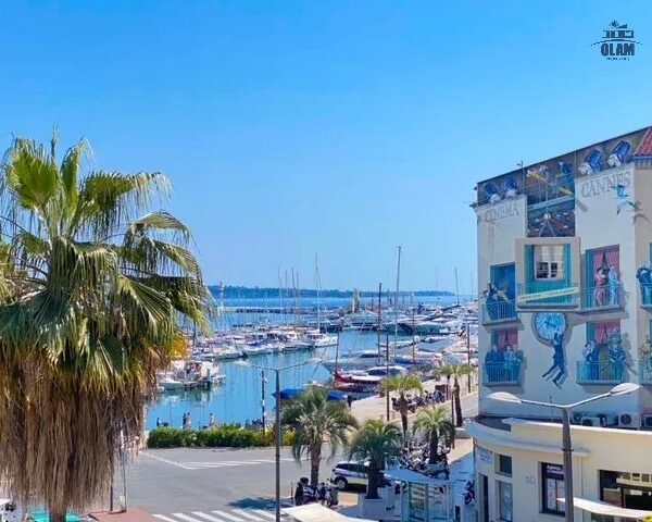 Cannes: beautiful apartment with terrace and view of the Vieuxport