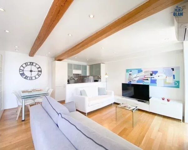 Cannes: beautiful apartment with terrace and view of the Vieuxport