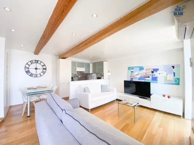 Cannes: beautiful apartment with terrace and view of the Vieuxport