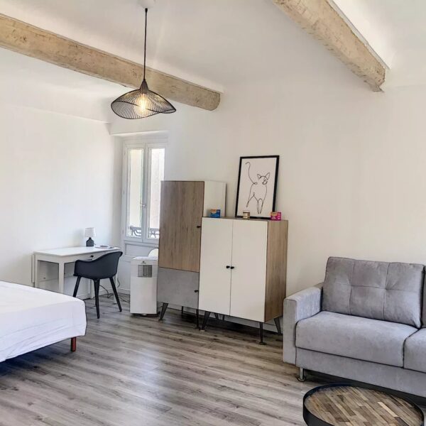 Studio Cannes Banane: charming, with alcove, building with elevator