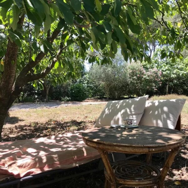 Mougins : Villa de charme avec piscine dans la pinède