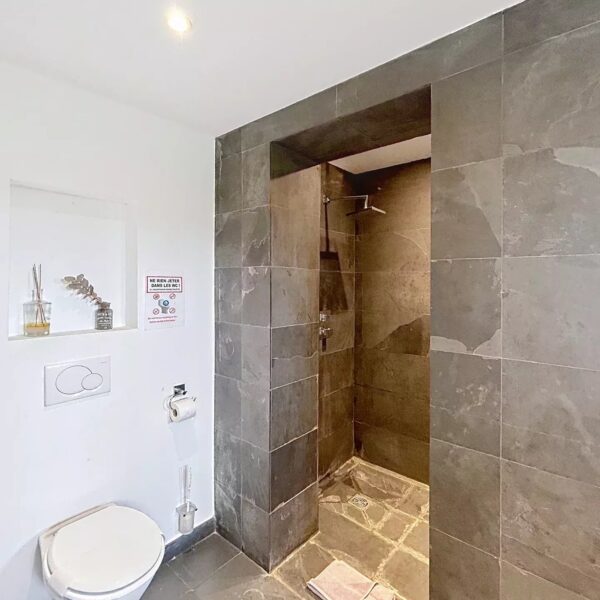 Mougins: Charming villa with swimming pool in the pine forest