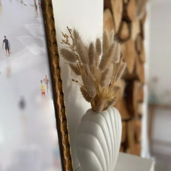 Mougins : Villa de charme avec piscine dans la pinède