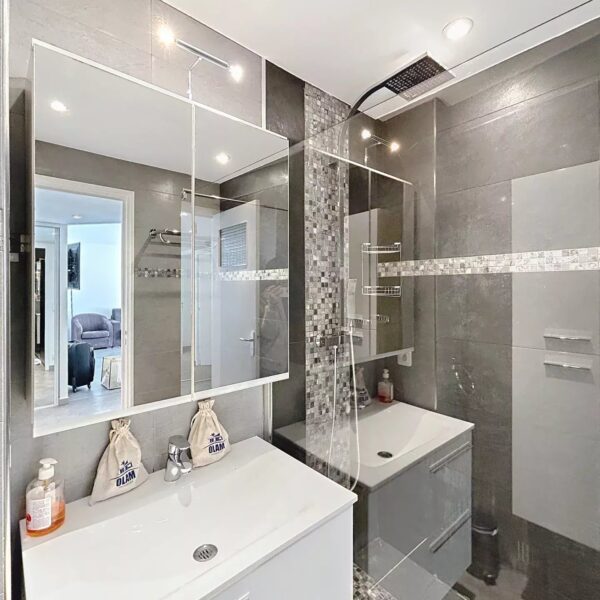 Cannes: beautiful 3-bedroom apartment 5 minutes from the Palais