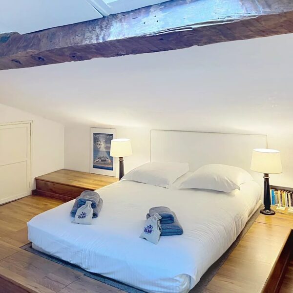 Cannes: 3 bedroom one of a kind loft with parking