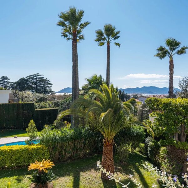 Apartment Cannes Montfleury : stunnig 3 bedrooms, sea view, residence, swimming pool