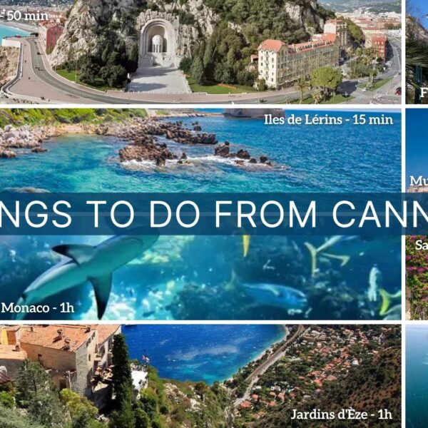 Studio Cannes : verdure, calme absolu