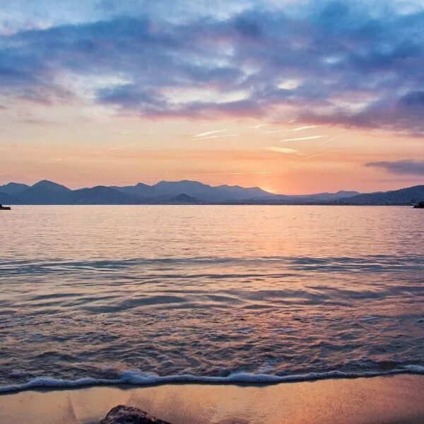 Apartment Cannes Croix des Gardes : splendid 1-bedroom apartment, residence with swimming pool, tennis court, wooded park