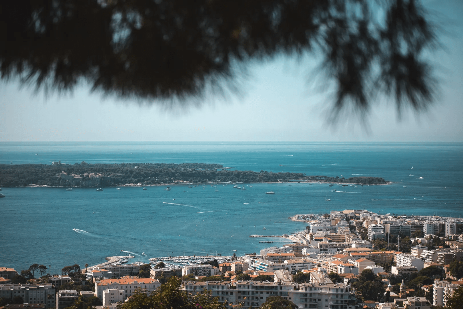 Quartiers de Cannes immobilier : Californie