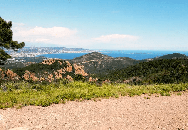 Réseaux sociaux / Social Networks Olam Properties Cannes