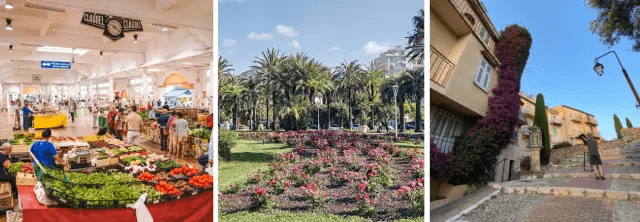 Visiter Cannes et ses alentours : La Roseraie et centre-ville