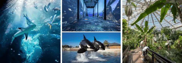 Visiter Cannes et ses alentours : à faire autour de Cannes