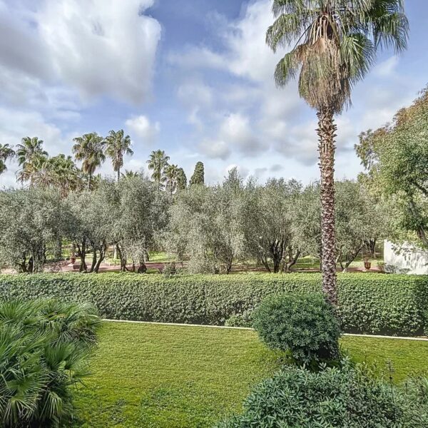 Cannes: calme, 2 pièces vue jardin avec terrasse et piscine