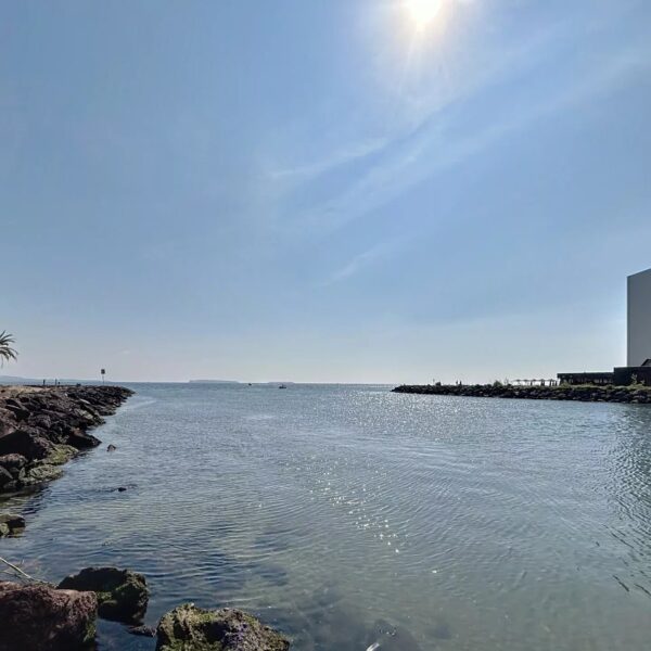 Mandelieu la Napoule : bel appartement, résidence avec piscine et parking