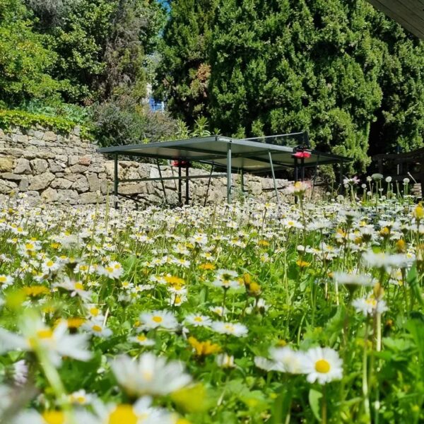 Bastide Le Cannet: 380 M2, piscine, terrain 2885 M2