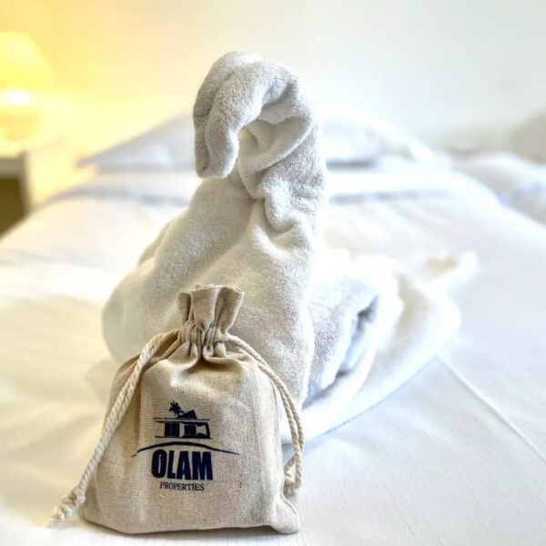 La petite maison blanche au Suquet – Appartement 2 chambres + mezzanine