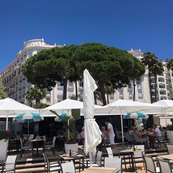 Gray d’Albion – Co Exclusivité – Splendide 3 pièces Terrasse Aperçu Mer